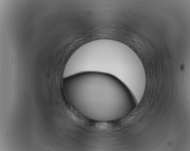 X0000095960231200801110953