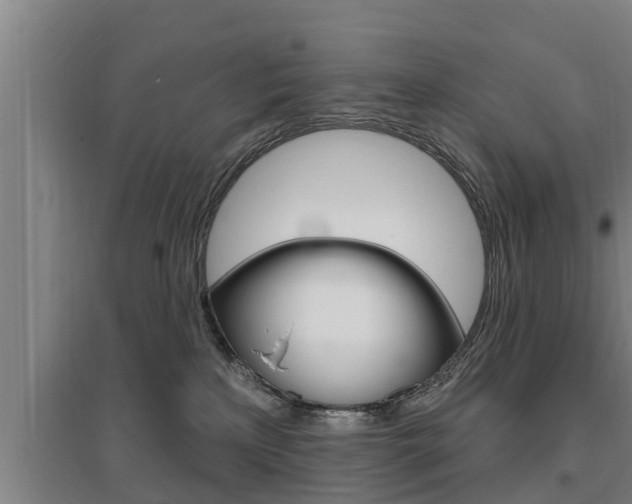 X0000095960233200801110953
