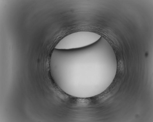 X0000095960234200801110953