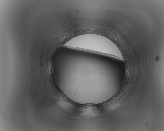 X0000095960235200801110953