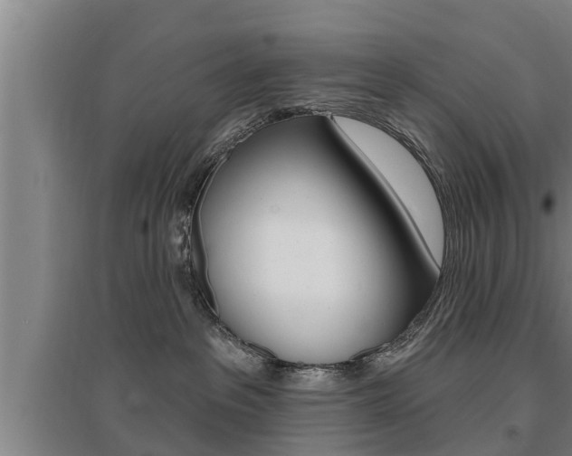 X0000095960237200801110953