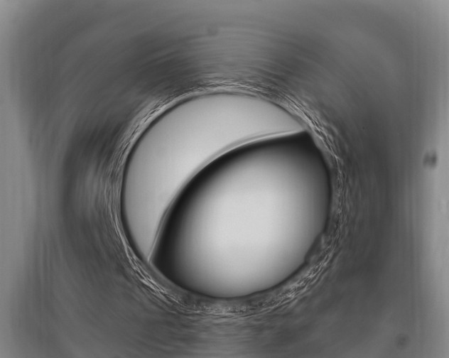 X0000095960241200801110952