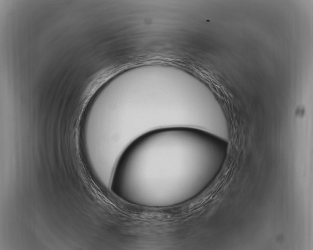 X0000095960242200801110952