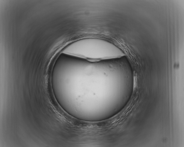 X0000095960243200801110952