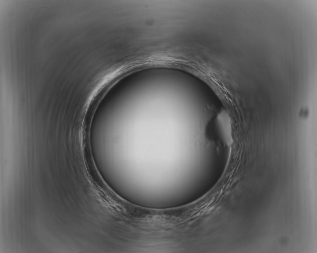 X0000095960244200801110952