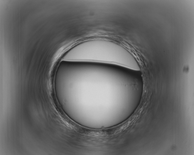 X0000095960245200801110952