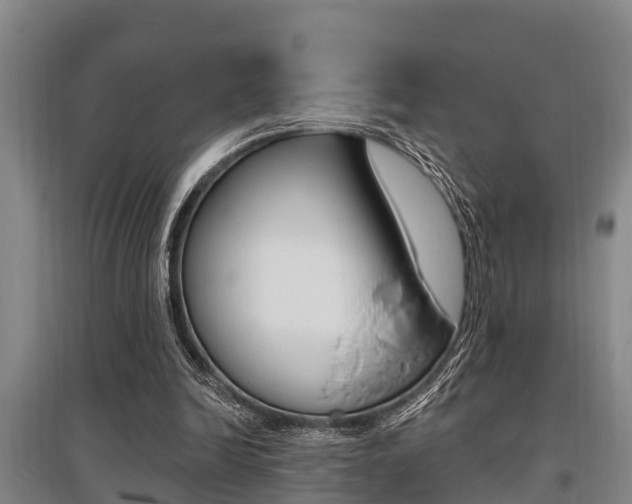 X0000095960246200801110952