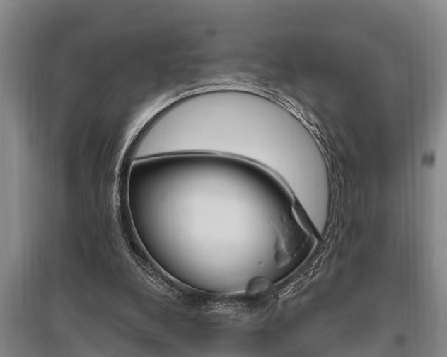 X0000095960248200801110952