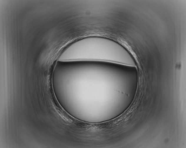 X0000095960249200801110952