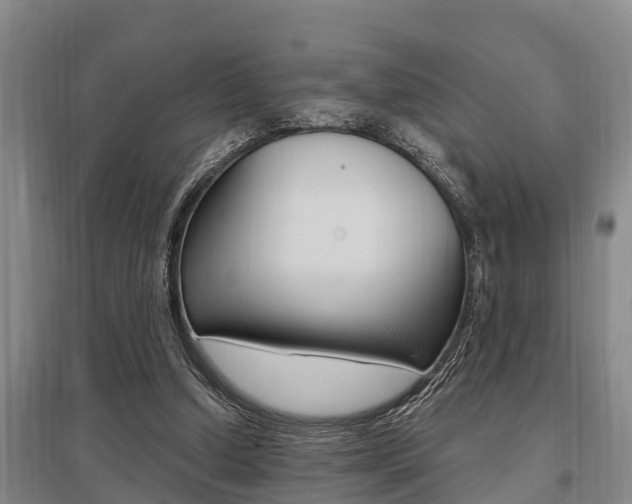 X0000095960250200801110952