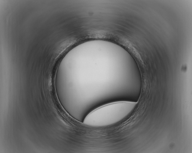 X0000095960251200801110953