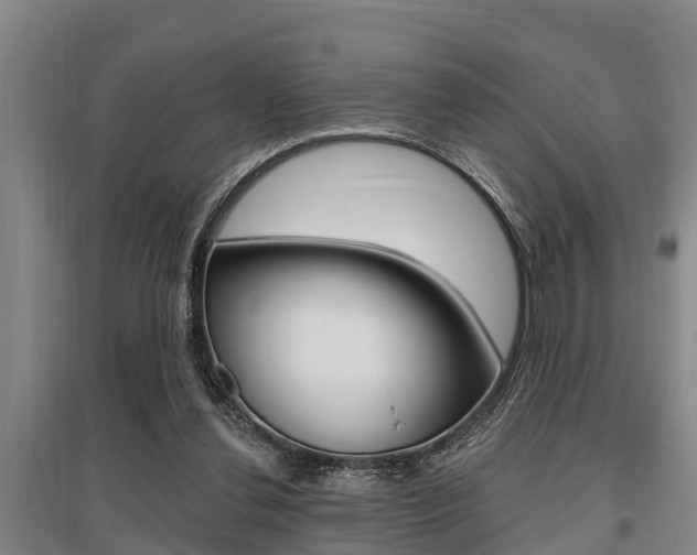 X0000095960252200801110953