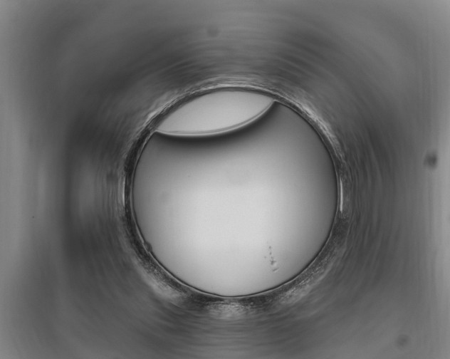 X0000095960253200801110953