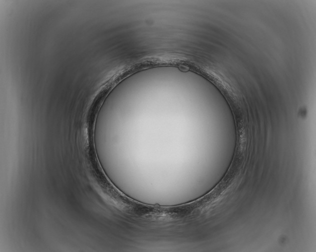 X0000095960254200801110953