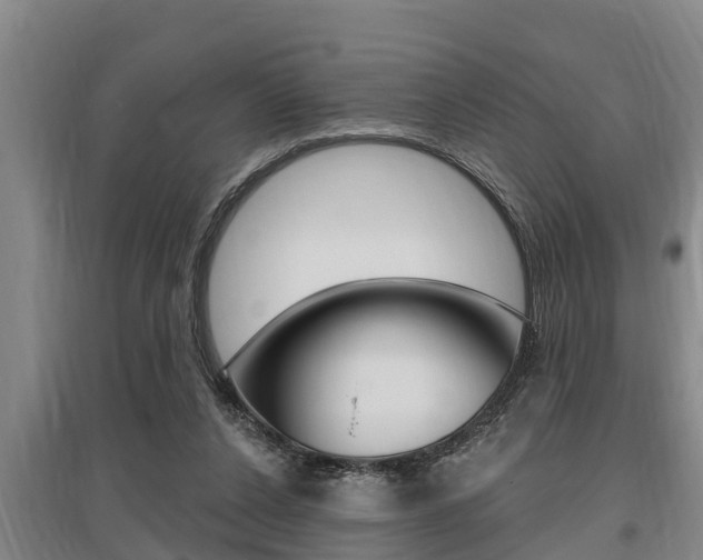 X0000095960256200801110953
