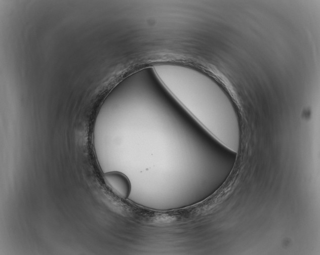 X0000095960257200801110953