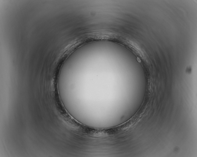 X0000095960258200801110953