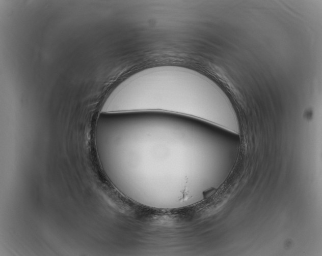 X0000095960259200801110953