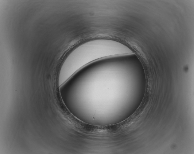 X0000095960260200801110953