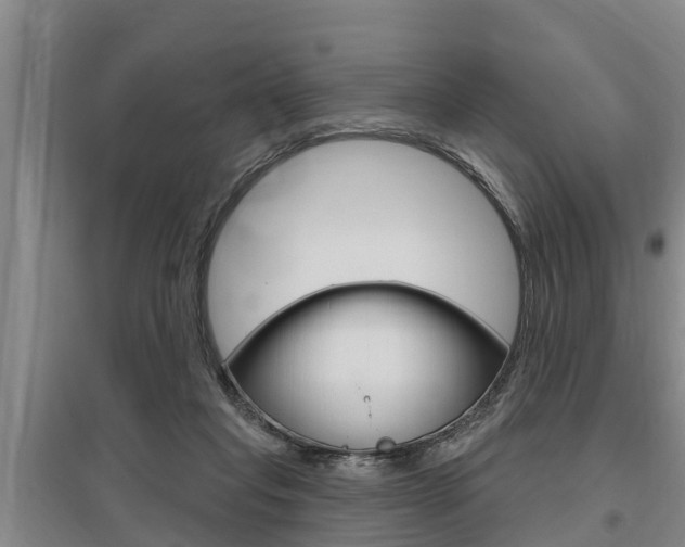 X0000095960261200801110953