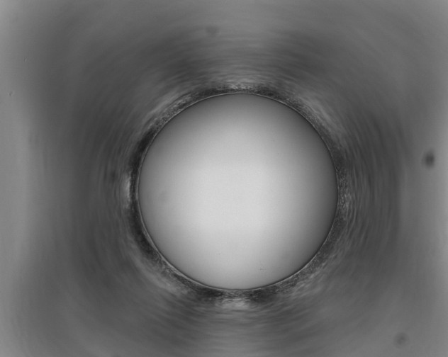 X0000095960262200801110953