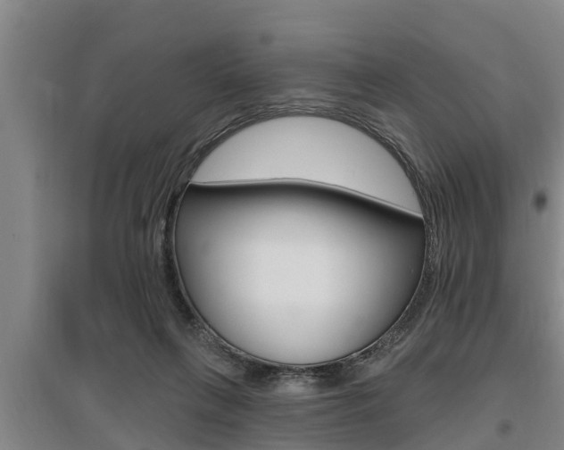 X0000095960263200801110953