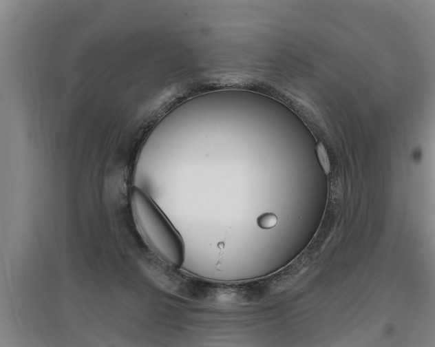 X0000095960264200801110953