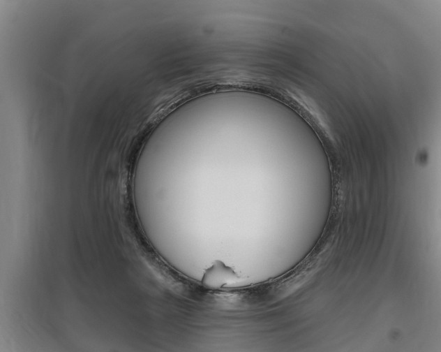 X0000095960265200801110953