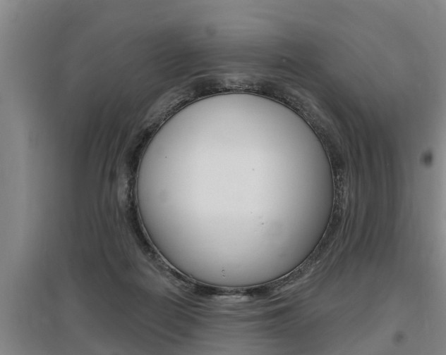 X0000095960266200801110953