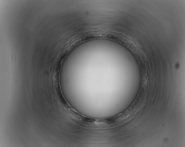 X0000095960270200801110953