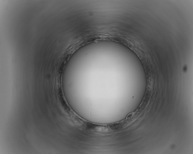 X0000095960272200801110953