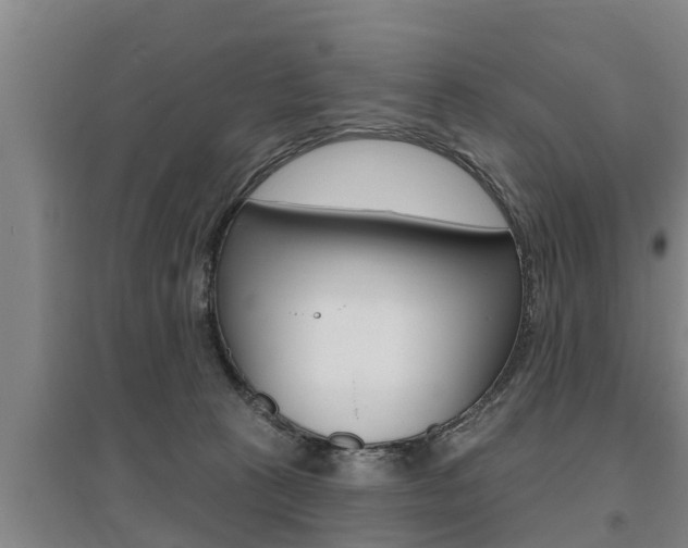 X0000095960273200801110953