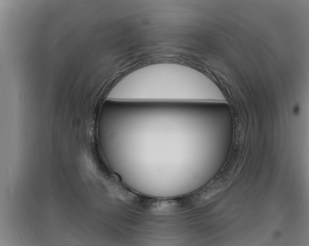 X0000095960274200801110953