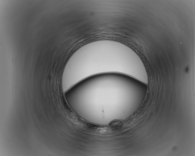 X0000095960275200801110953