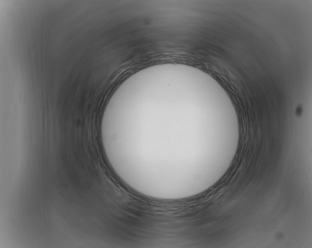 X0000095960276200801110953