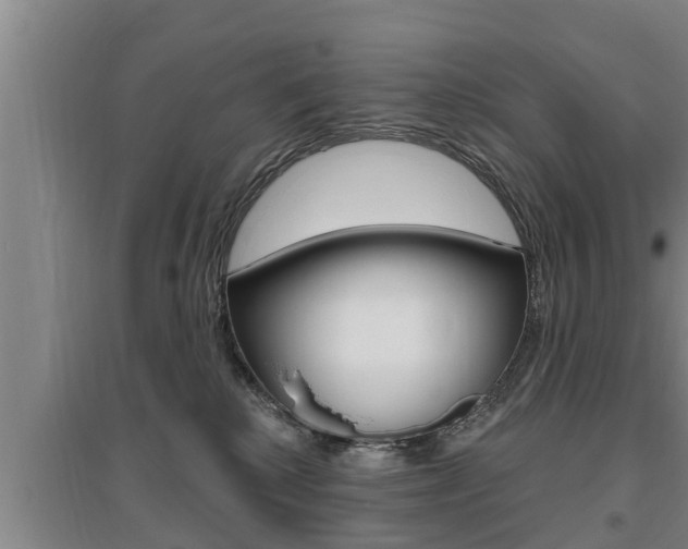 X0000095960280200801110953