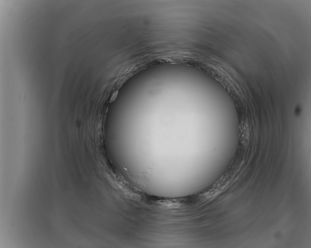 X0000095960284200801110953