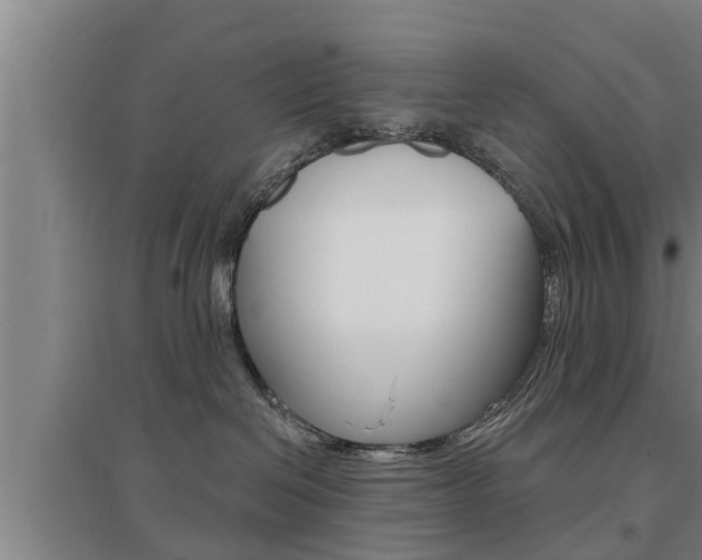 X0000095960286200801110953