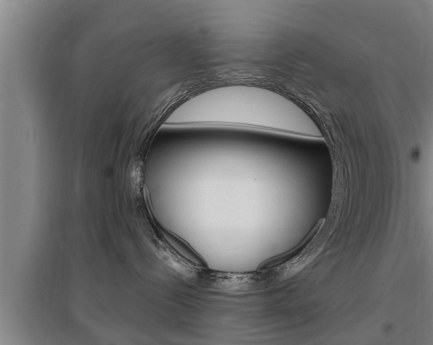 X0000095960288200801110953