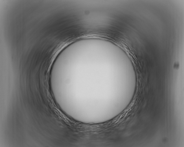 X0000095960289200801110952