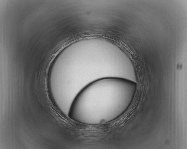 X0000095960290200801110952