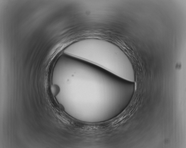 X0000095960291200801110952