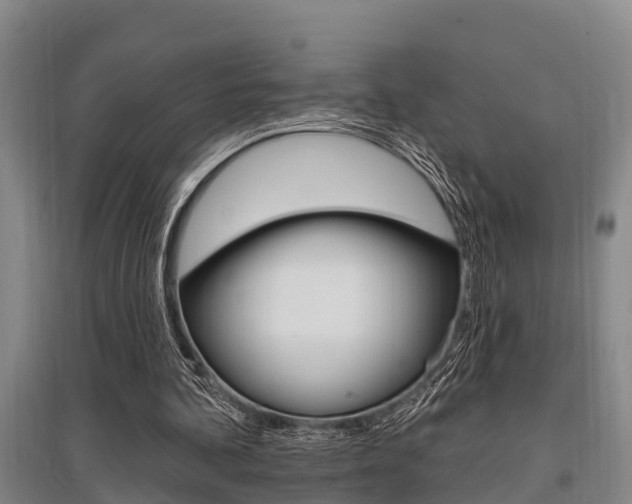 X0000095960292200801110952