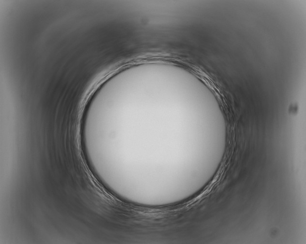 X0000095960293200801110952
