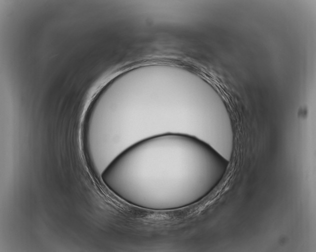 X0000095960294200801110952