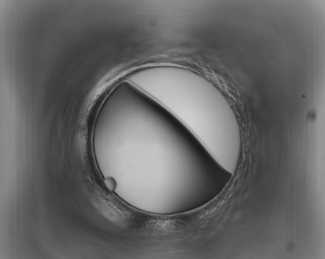 X0000095960295200801110952