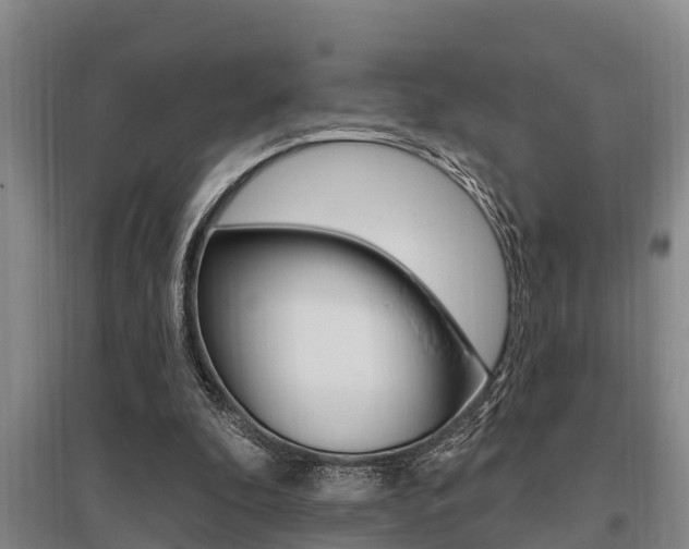X0000095960296200801110952