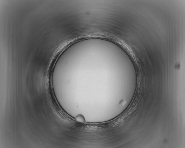 X0000095960298200801110952