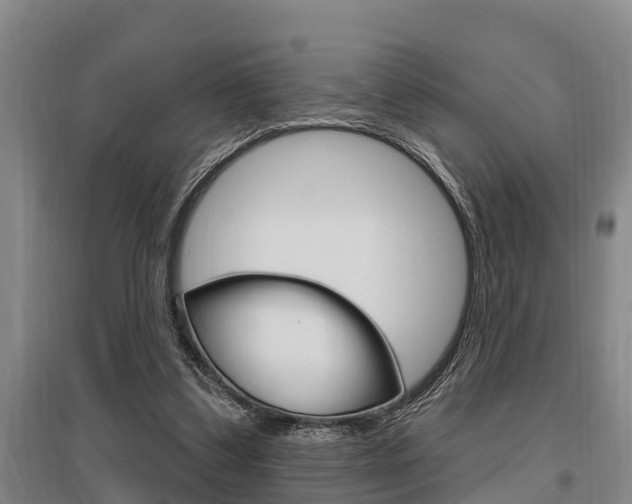 X0000095960299200801110952