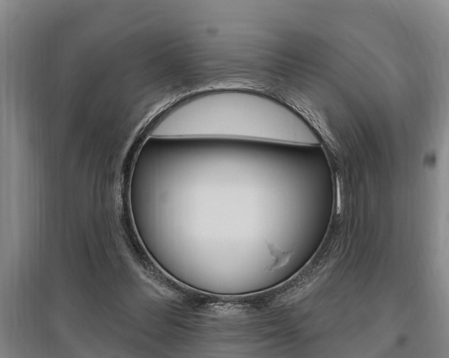 X0000095960300200801110952